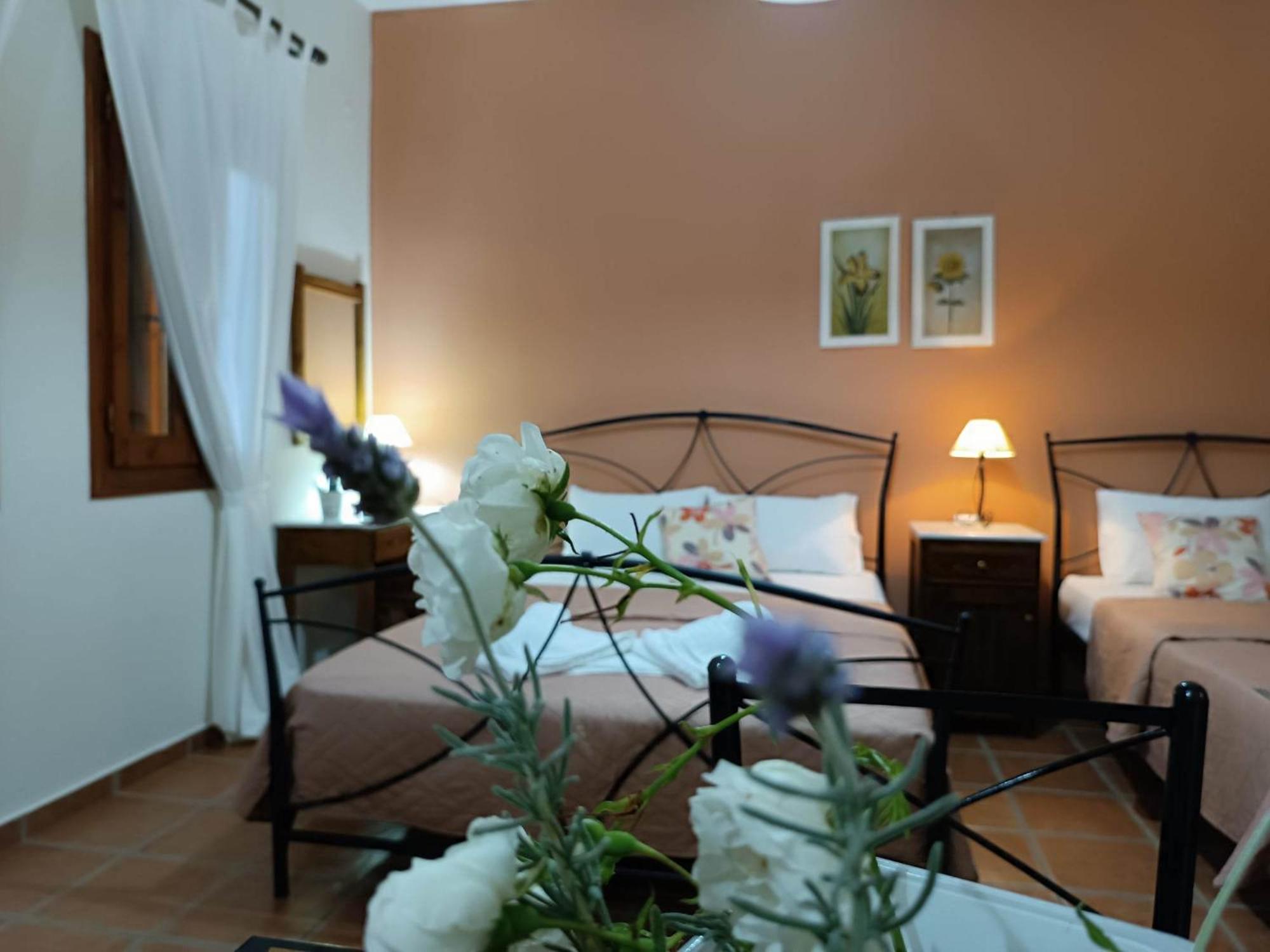 Katikies Stamatias Studios & Maisonettes Agnontas Exterior foto